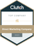 Clutch "TOP company", 2023